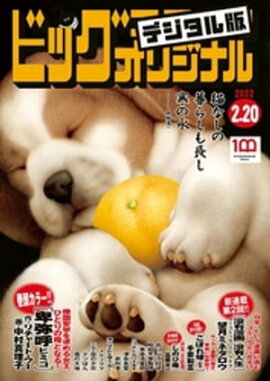 �ӥå����ߥå����ꥸ�ʥ� 2022ǯ4���2022ǯ2��4��ȯ��) 