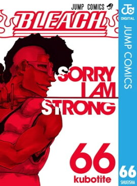 BLEACH モノクロ版 66 