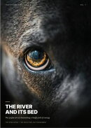 The River and its Bed