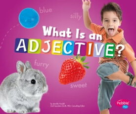 What Is an Adjective?【電子書籍】[ Gail Saunders-Smith ]