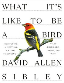 What It's Like to Be a Bird From Flying to Nesting, Eating to Singing--What Birds Are Doing, and Why【電子書籍】[ David Allen Sibley ]