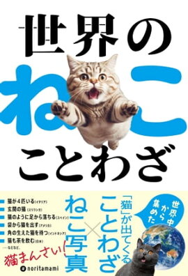 世界のねこことわざ 