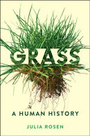 Grass
