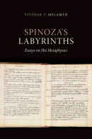Spinoza's Labyrinths