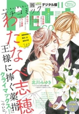 ץߥå 2017ǯ11(2017ǯ107ȯ) 