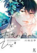 木洩れ日のひと(2)【電子限定特典付】