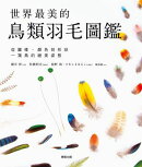 世界最美的鳥類羽毛圖鑑：從圖樣、顏色到形狀一窺鳥的絕美姿態