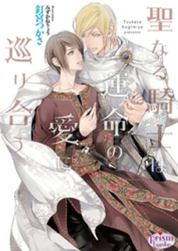 聖なる騎士は運命の愛に巡り合う【電子限定特典付】