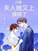 少爺，夫人她又上頭條了