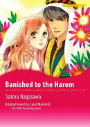 BANISHED TO THE HAREM