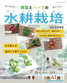 野菜とハーブの水耕栽培 