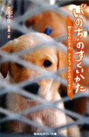 “いのち”のすくいかた 捨てられた子犬、クウちゃんからのメッセージ