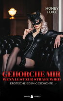 Gehorche mir - wenn Lust zur Strafe wird: Eine erotische BDSM-Geschichte