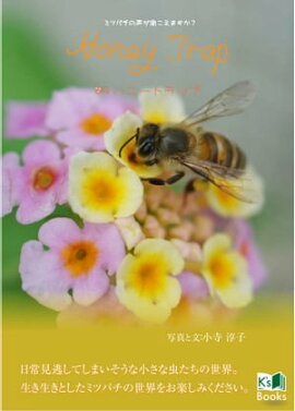 Honey Trap ���ϥˡ��ȥ�åס� �ߥĥХ�������ʹ�����ޤ�����