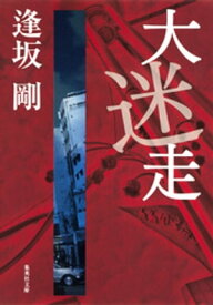 大迷走（御茶ノ水警察シリーズ）【電子書籍】[ 逢坂剛 ]