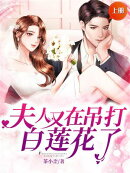 夫人又在吊打白莲花了（上册）