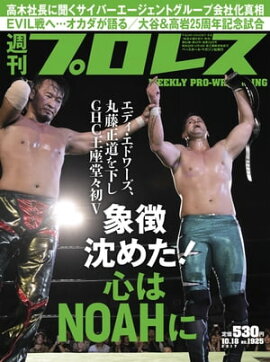 週刊プロレス 2017年 10/18号 No.1925 