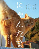 にゃんたま