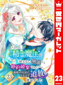 精霊魔法が使えない無能だと婚約破棄されたので、義妹の奴隷になるより追放を選びました 23