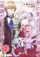 身に覚えのない理由で婚約破棄されましたけれど、仮面の下が醜いだなんて、一体誰が言ったのかしら？【限定書きおろ…