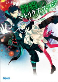楽天市場 Fate Prototype 小説の通販