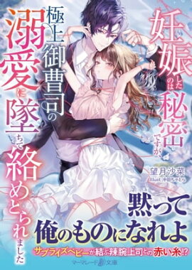 妊娠したのは秘密ですが、極上御曹司の溺愛に墜ちて絡めとられました 
