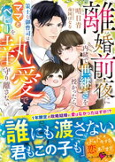 離婚前夜に内緒で世継ぎを授かったら〜策士な御曹司はママとベビーを執愛で守り離さない〜【SS付き】