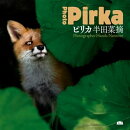 ピリカ Photo Pirka