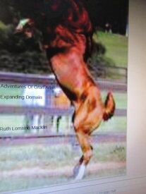 Adventures Of Gran Arian Expanding Domain【電子書籍】[ Ruth Lorraine Macklin ]