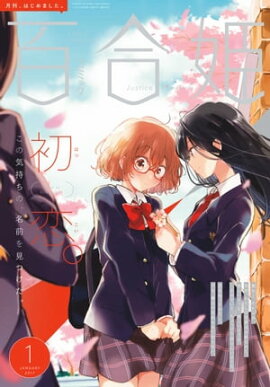 ���ߥå�ɴ��ɱ��2017ǯ1��� 