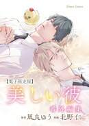 「美しい彼」番外編集【電子限定版】