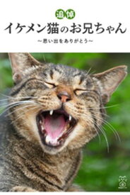 【追悼】イケメン猫のお兄ちゃん〜思い出をありがとう〜【電子書籍】[ mayuニャン ]