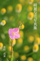 綺麗な花写真集１