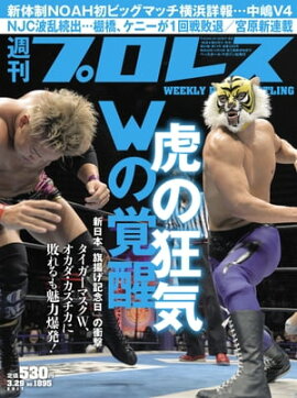 週刊プロレス 2017年 3/29号 No.1895 