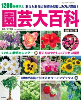 ��������ǡ������ɴ�� 