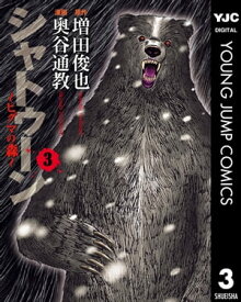 シャトゥーン～ヒグマの森～ 3【電子書籍】[ 増田俊也 ]