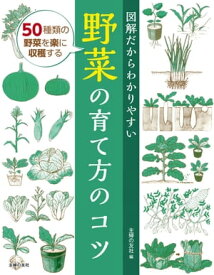 楽天市場 きゅうり 育て方の通販
