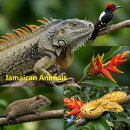 Jamaican Animals