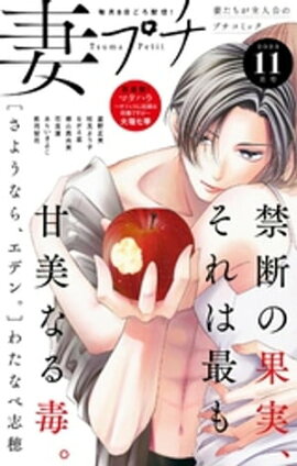 妻プチ 2023年11月号(2023年10月6日発売) 