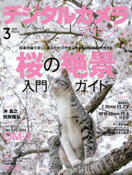 �ǥ����륫���ޥ����� 2025ǯ3��� 