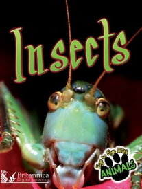 Insects【電子書籍】[ Don McLeese ]