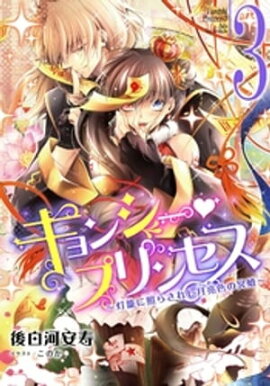【電子オリジナル】キョンシー・プリンセス３　〜灯籠に照らされし月亮色の冥婚〜 