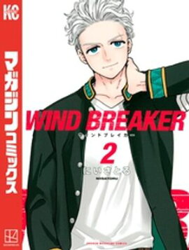 ＷＩＮＤ　ＢＲＥＡＫＥＲ（２） 