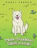 Moon Shadow Takes a Leap
