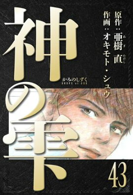 神の雫　愛蔵版　43 