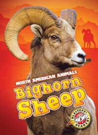 Bighorn Sheep【電子書籍】[ Megan Borgert-Spaniol ]
