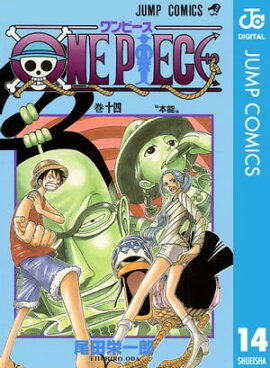 ONE PIECE Υ 14 