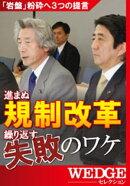 進まぬ規制改革 繰り返す失敗のワケ