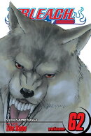 Bleach, Vol. 62