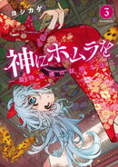 神にホムラを　ー最終定理の証明方法ー（３）